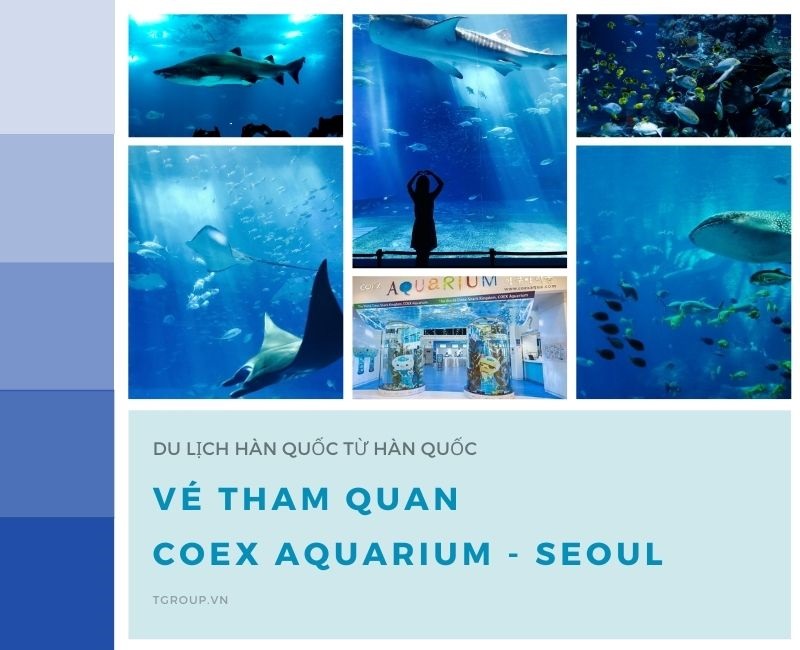 Vé tham quan Coex Aquarium tại Seoul