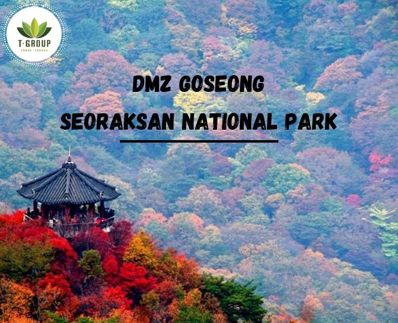 Tour tham quan DMZ Goseong ở  Gangwon-do và công viên quốc gia Seoraksan
