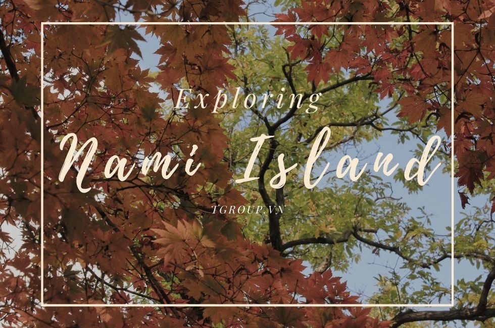 Ngỡ ngàng vẻ đẹp mùa thu trên đảo Nami Hàn Quốc