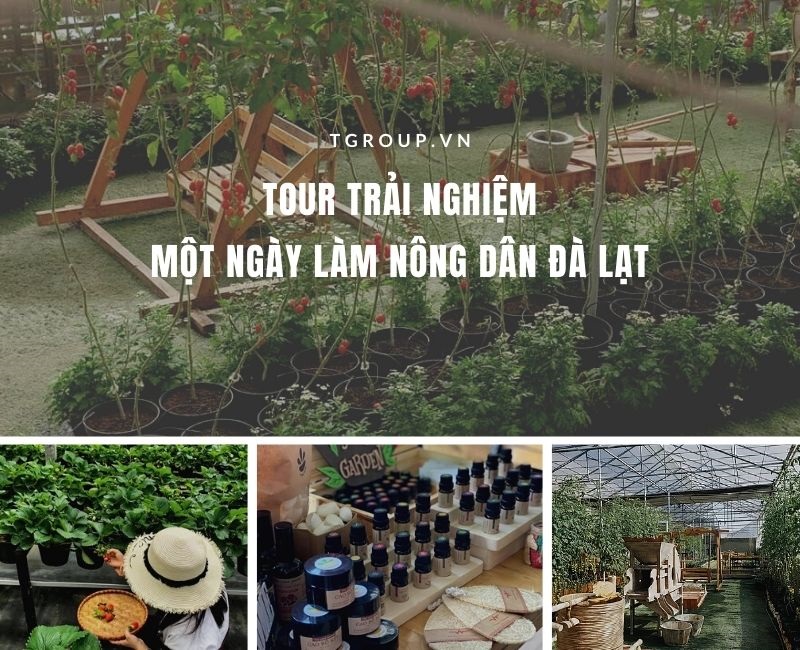 Tour trải nghiệm - Một ngày làm nông dân Đà Lạt Tour trải nghiệm - Một ngày làm nông dân Đà Lạt