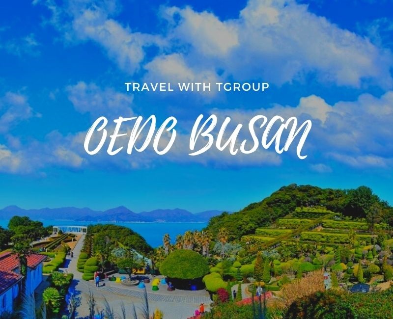 Tour một ngày đảo thiên đường Oedo Busan
