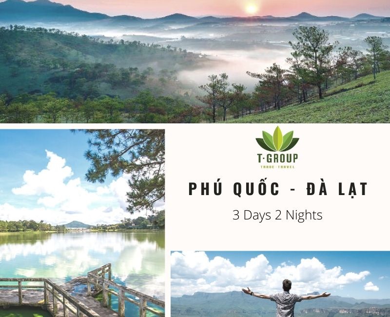 Tránh cái nắng oi bức, chuyến đi 3 ngày 2 đêm từ Phú Quốc đến Đà Lạt mang lại những trải nghiệm tuyệt vời Tránh cái nắng oi bức, chuyến đi 3 ngày 2 đêm từ Phú Quốc đến Đà Lạt mang lại những trải nghiệm tuyệt vời
