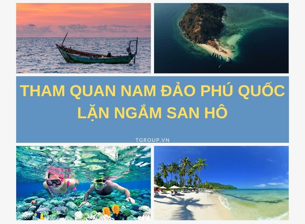 Tham Quan Nam Đảo Lặn Ngắm San Hô Phú Quốc Tgroup Du Lịch Thông