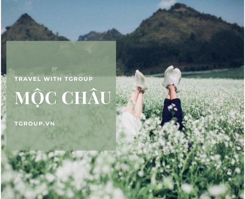 Tour 2 ngày 1 đêm khám phá cao nguyên xinh đẹp Mộc Châu