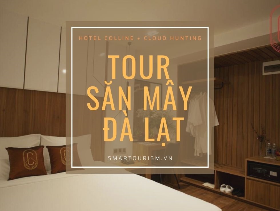 Tour săn mây cao cấp tại Đà Lạt Tour săn mây cao cấp tại Đà Lạt