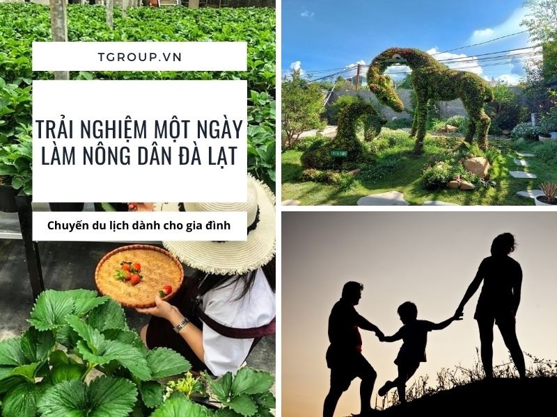 Tour dành cho gia đình nhỏ - Trải nghiệm một ngày làm nông dân Đà Lạt Tour dành cho gia đình nhỏ - Trải nghiệm một ngày làm nông dân Đà Lạt
