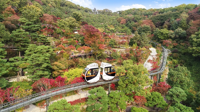 Thưởng thức sắc thu đẹp ngỡ ngàng tại rừng Hwadam ở Seoul