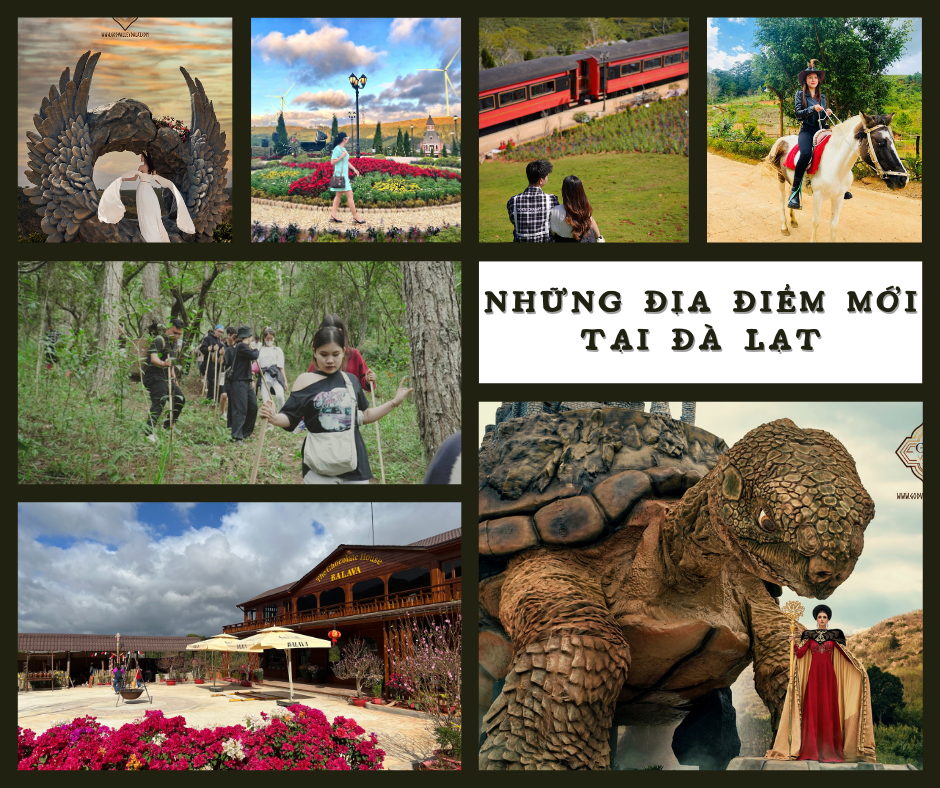 Những địa điểm vui chơi mới tại Đà Lạt mà bạn nên thử 