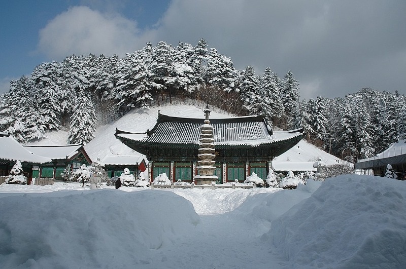 Đi bộ đường dài trong khung cảnh tuyết trắng tinh khiết ở công viên quốc gia núi Odae - Gangwon