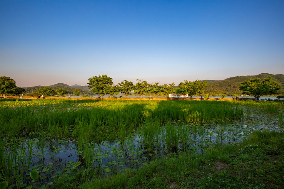Dumulmeori, Gyeonggi