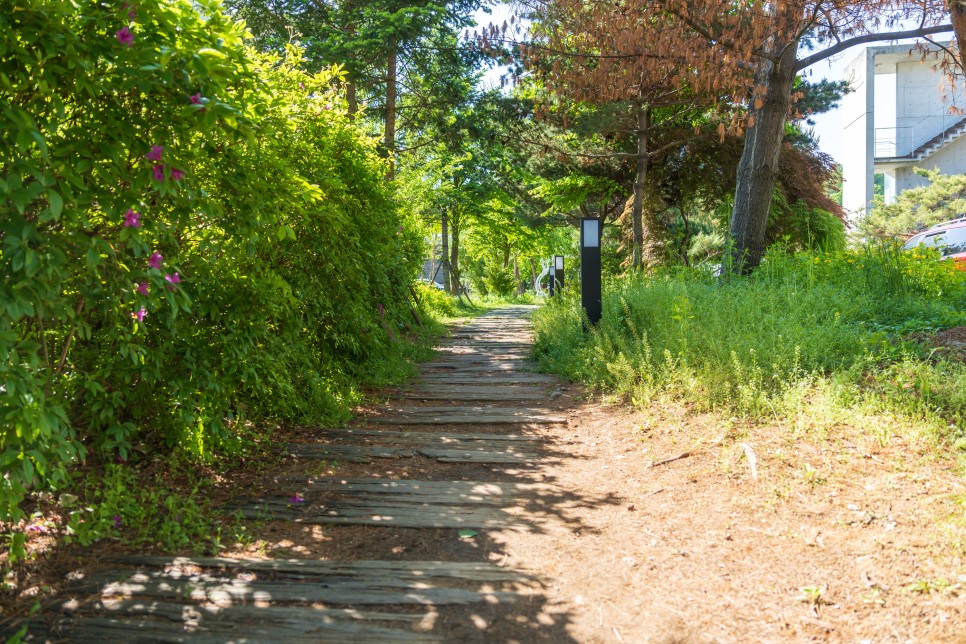 Làng nghệ thuật Heyri, Gyeonggi