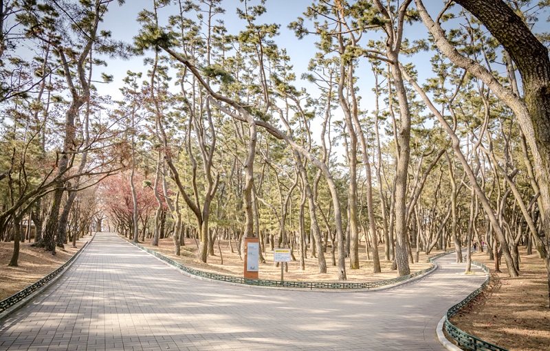 Khu lăng mộ Daereungwon, Gyeongju