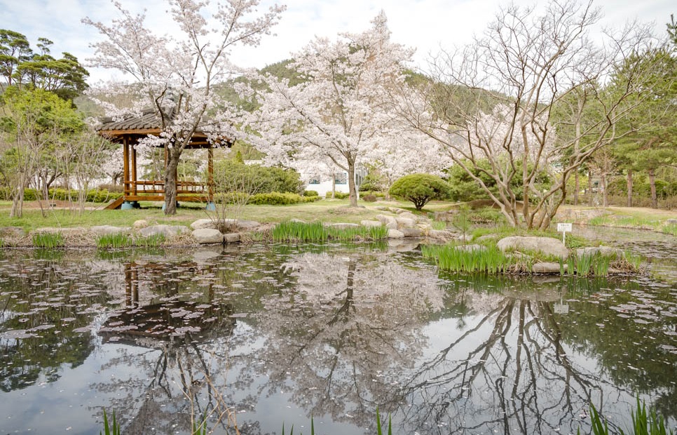 Vọng lâu Bomun, Gyeongju