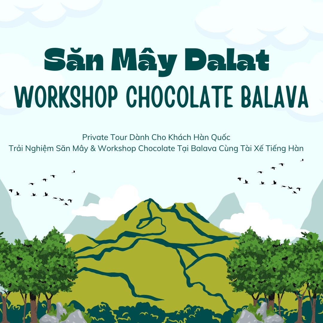 Trải Nghiệm Săn Mây & Workshop Chocolate Tại Balava Cùng Tài Xế Tiếng Hàn