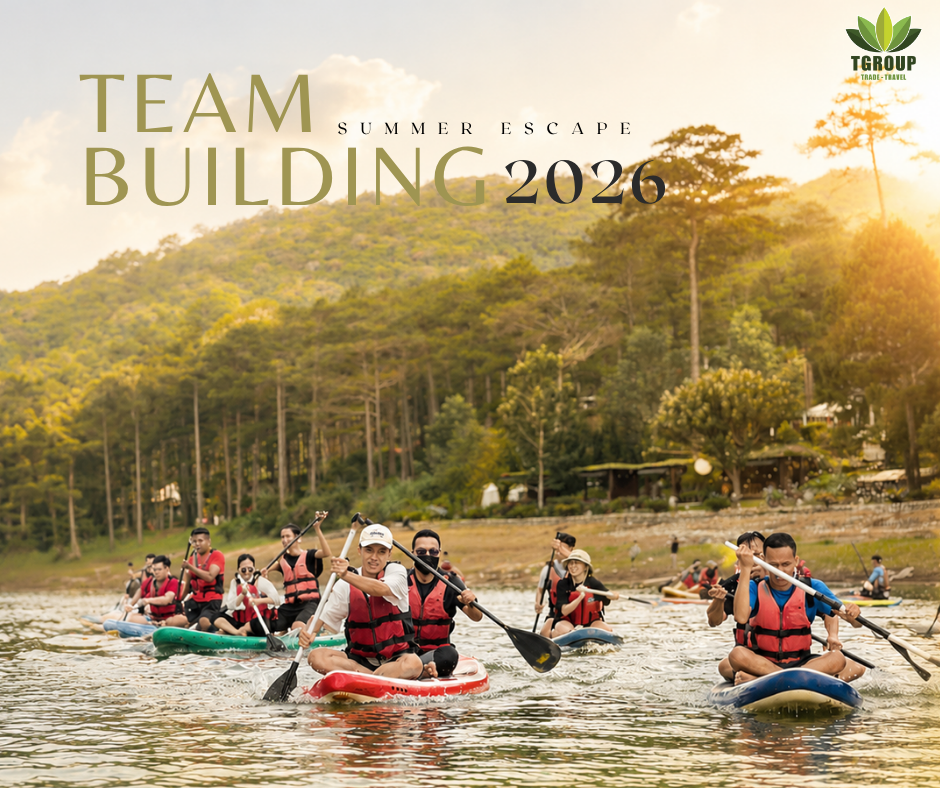 Team Building Hè 2026: Hành Trình Gắn Kết Đội Ngũ