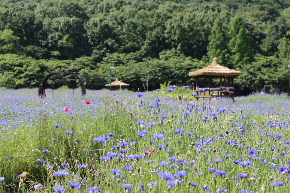 Công viên Grand Incheon