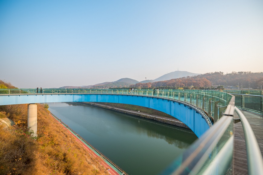 Dịch vụ Đài quan sát Aramaru, Incheon | TGROUP Thương mại và Du lịch Hàn  Việt