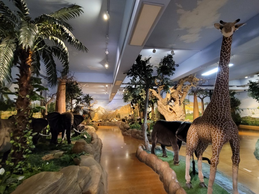 Bảo tàng nghệ thuật Châu Phi, Jeju