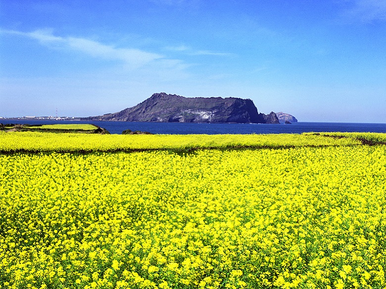 Đỉnh núi Seongsan Ilchulbong, Jeju