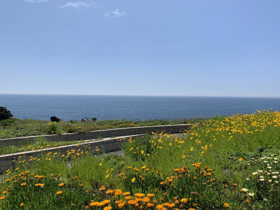 Đồi SeopJikoji, Jeju