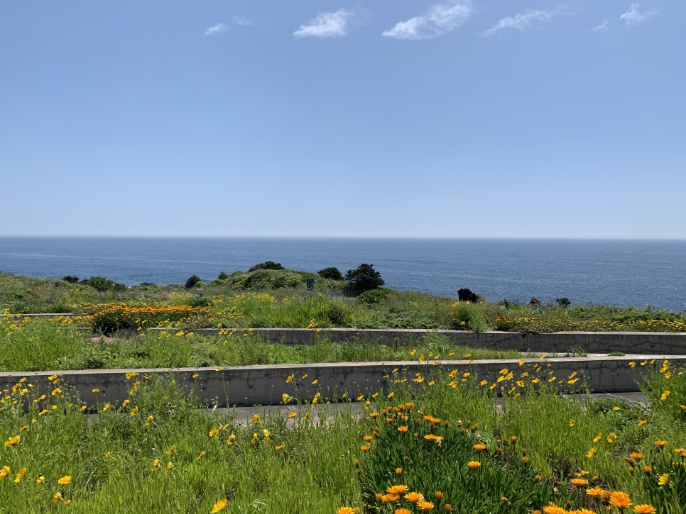 Đồi SeopJikoji, Jeju
