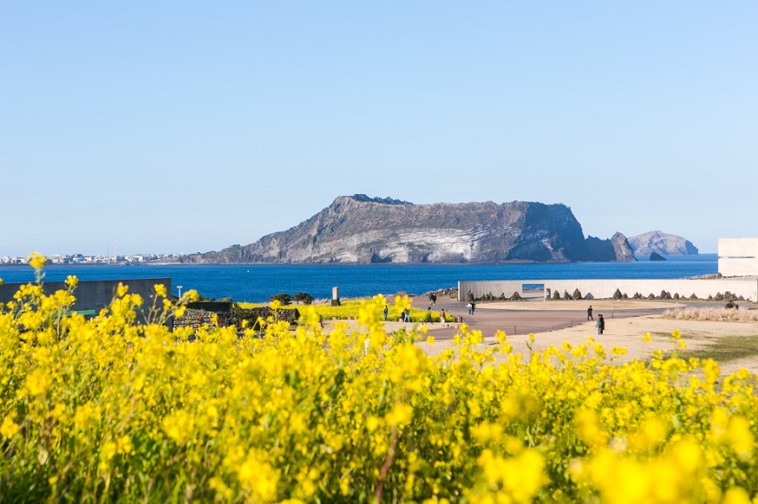Đồi SeopJikoji, Jeju