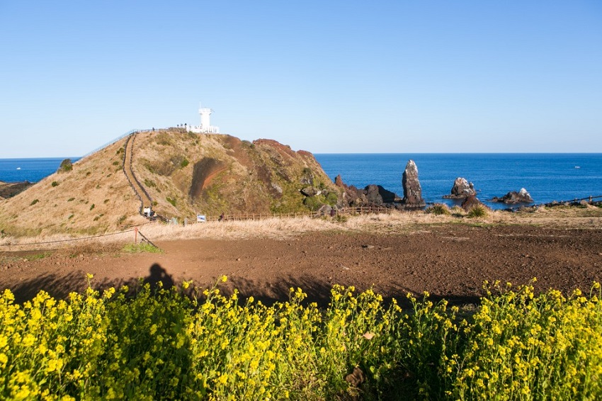 Đồi SeopJikoji, Jeju