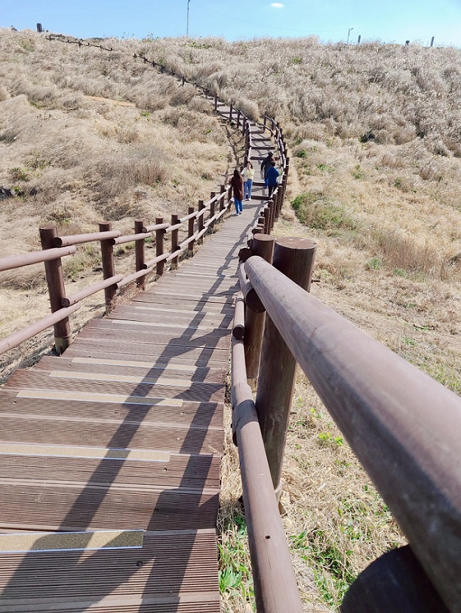 Đường đi ven biển Dalkmeoreu, Jeju