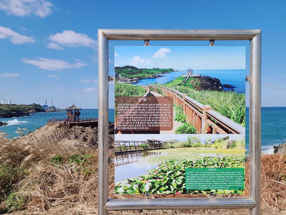 Đường đi ven biển Dalkmeoreu, Jeju