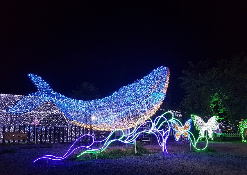 Khu vườn ánh sáng và Photo Studio, Jeju
