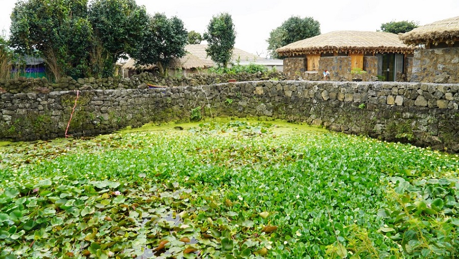 Làng dân tộc Seongup, Jeju