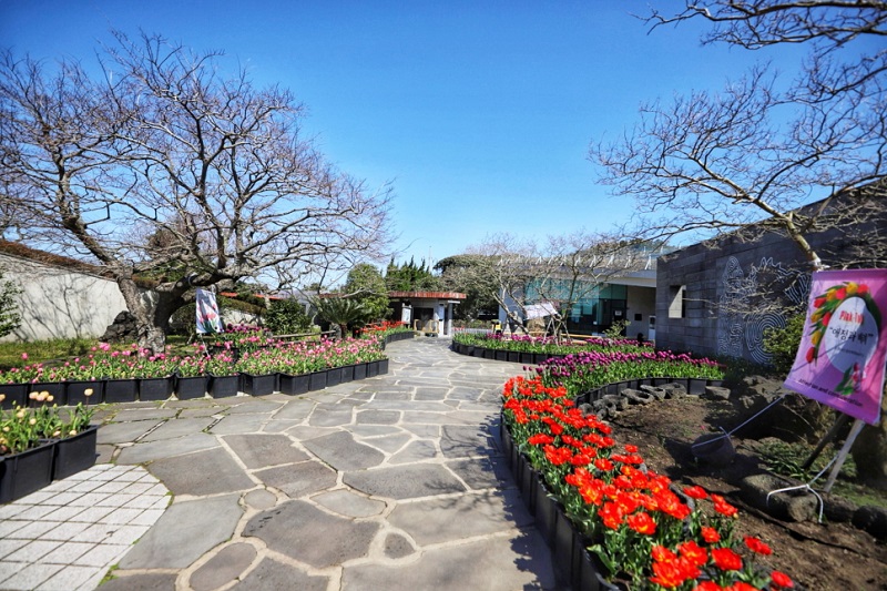 Maze Land - Công viên mê cung, Jeju