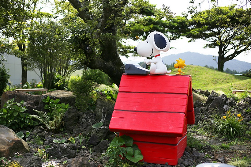 Dịch Vụ Snoopy Garden House, Jeju | TGROUP Thương Mại Và Du Lịch Hàn Việt