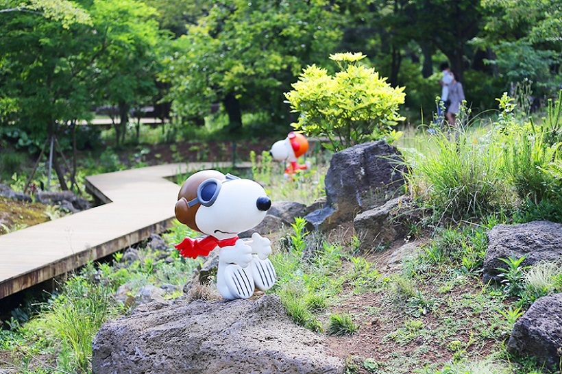 Snoopy Garden House, Jeju