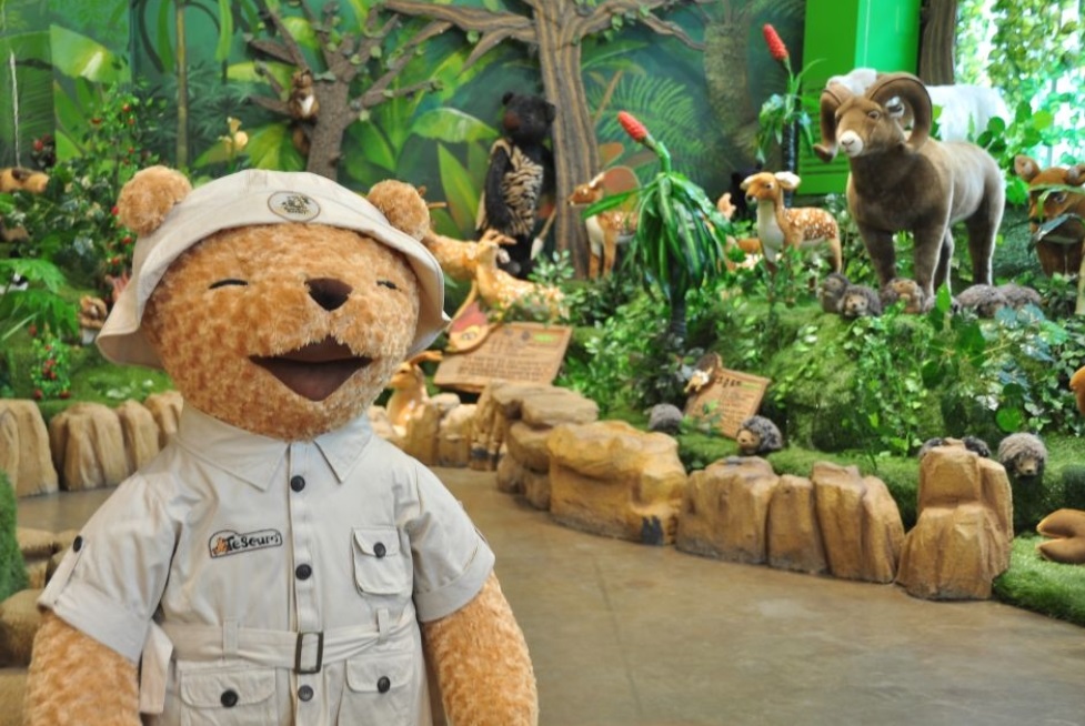 Vé tham quan bảo tàng gấu Teddy Bear Jeju
