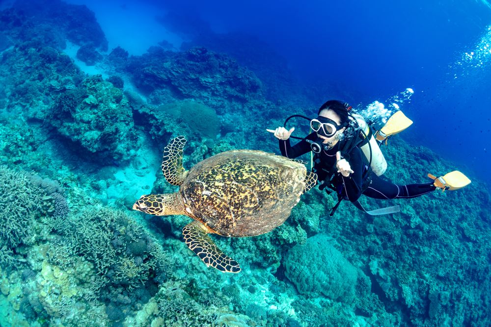 Trải nghiệm lặn biển Jeju - Scuba Diving