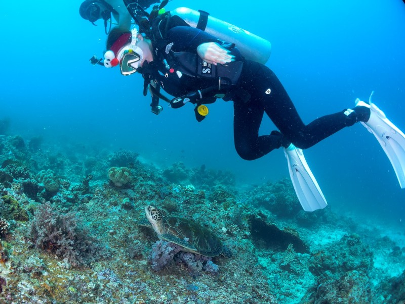Trải nghiệm lặn biển Jeju - Scuba Diving