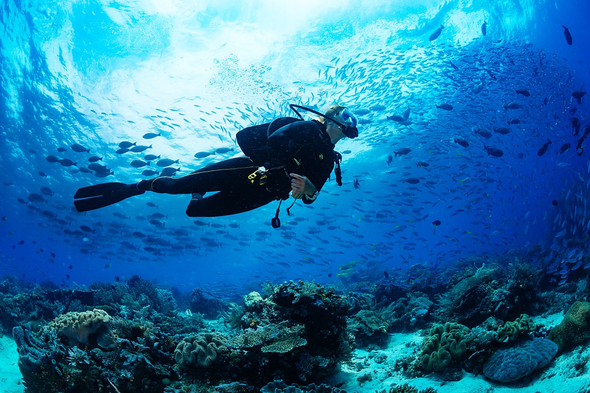 Trải nghiệm lặn biển Jeju - Scuba Diving
