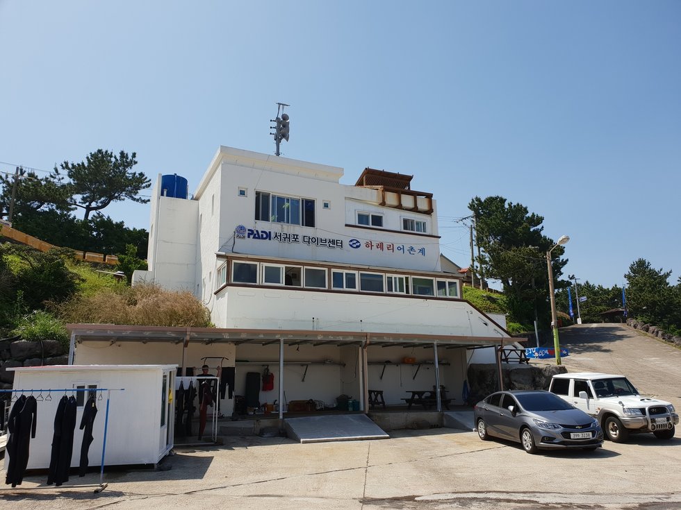 Trải nghiệm lặn biển Jeju - Scuba Diving