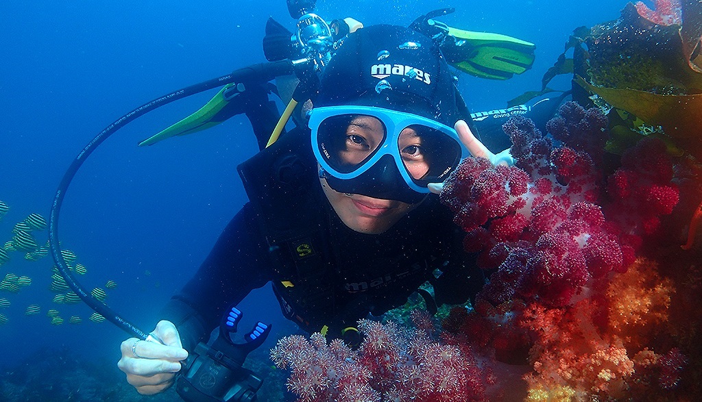 Trải nghiệm lặn biển Jeju - Scuba Diving