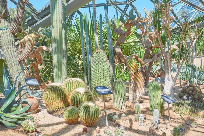 Vườn bách thảo Yeomiji, Jeju