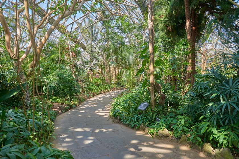 Vườn bách thảo Yeomiji, Jeju