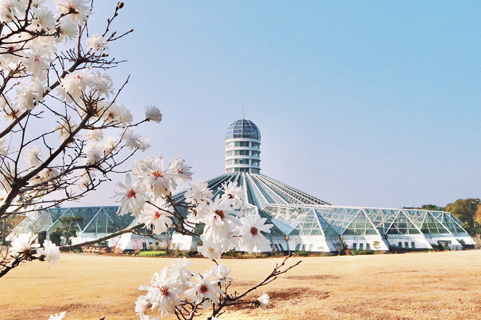 Vườn bách thảo Yeomiji, Jeju