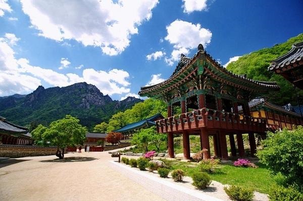 Tour tham quan DMZ Goseong ở  Gangwon-do và công viên quốc gia Seoraksan