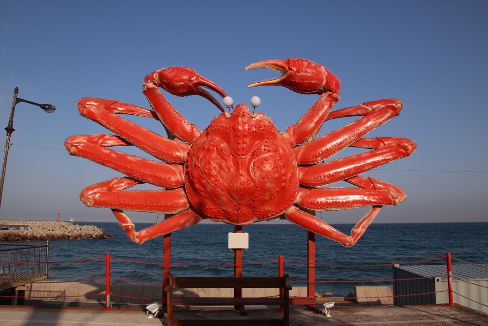 Yeongdeok, thành phố của những con cua tuyết