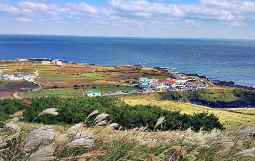 Một ngày trải nghiệm đông bắc đảo Jeju