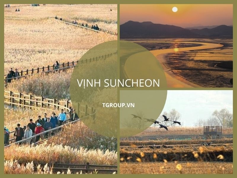 Thiên đường kết nối con người và thiên nhiên ở công viên sinh thái tự nhiên Vịnh Suncheon