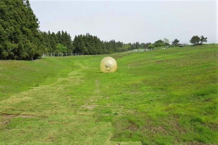 Trải nghiệm bóng lăn Zorbing tại Jeju