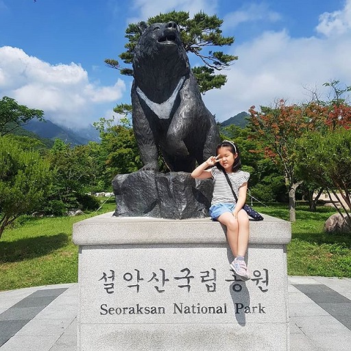 Tour 1 ngày Đảo Nami Và Núi Seorak từ Seoul