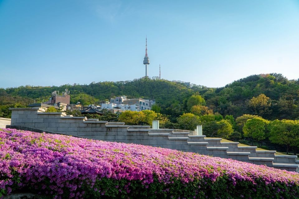 Tour riêng nguyên ngày trải nghiệm mặc Hanbok, tham quan cung điện, tháp N seoul, làm kimchi và gimbap
